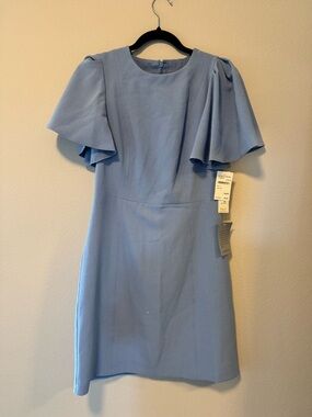 Eliza J Dresses Powder Blue Flutter Sleeve Mini Dress